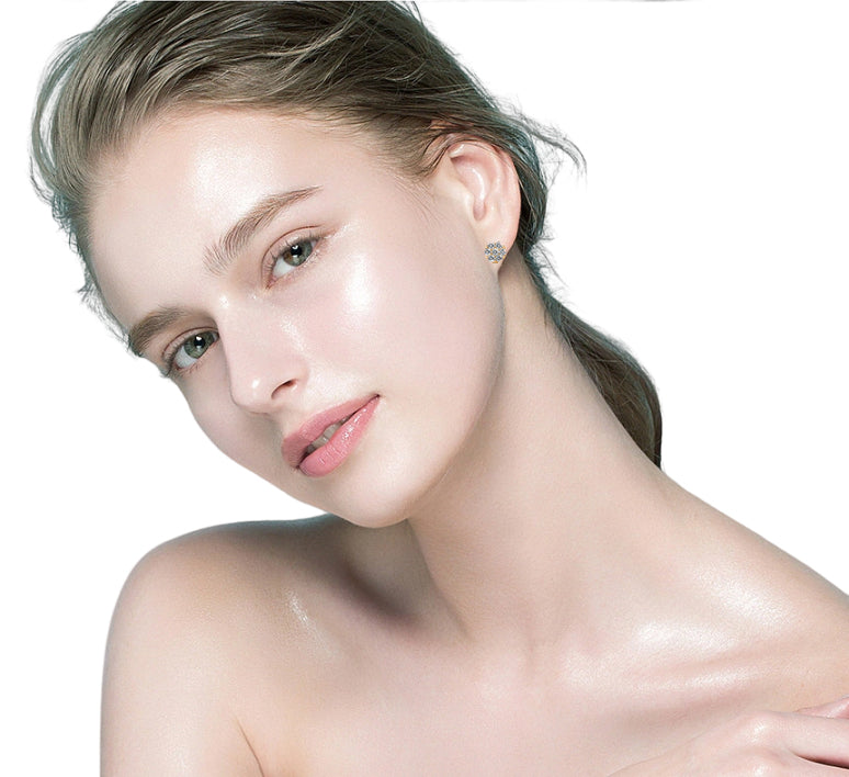 Brilliance Crystal Earrings